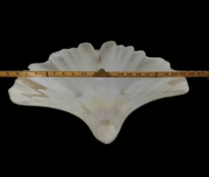 Grand plat ancien en verre côtelé irisé feuille de ginkgo 18" x 17" - Photo 1/11