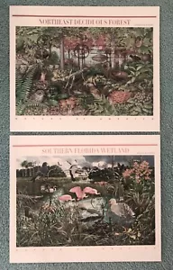 USPS Nature of America FDCs: Florida Wetlands & NE Deciduous Forest Stamp Covers - Picture 1 of 8