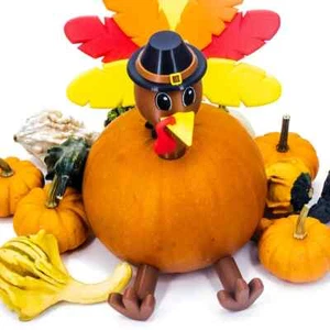 Turkey Thanksgiving DIY Pumpkin w/Parts Poke into Pumpkin Indoor/Outdoor - Picture 1 of 12