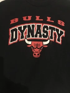 CHICAGO BULLS vintage 1994 chicago bulls "dynasty" Starter t-shirt Jordan - Picture 1 of 5