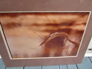 ORIGINAL PHOTOGRPHIC PRINT BETTY SUTLIFF 20" BY 24" HERON - Picture 1 of 3