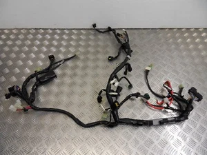 Arnés de telar de cableado principal Yamaha R6 13S 2008 a 2016 - Imagen 1 de 9