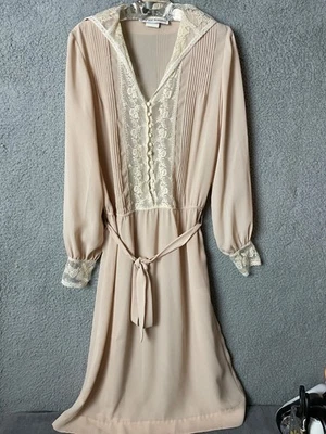 Antigo Vestido Miss Ashlee S Bege Pintuck Pregas Renda Transparente Secretário Sem Tamanho Leia - Imagem 1 de 4