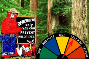 SMOKEY BEAR FIRE DANGER SIGN W/ WORKING GAUGE! U.S. FOREST SERVICE VINTAGE IMAGE - Picture 1 of 1