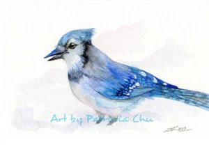 " Blue Jay " 5x7 Limited Edition Print Wildlife Animal Bird Art by Patricia - Foto 1 di 1