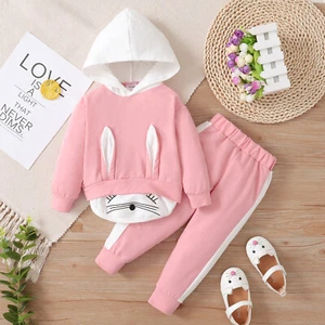 Newborn Toddler Baby Girls Flower Hooded Tops+Pants Set Kids Clothes Outfits - Picture 1 of 8