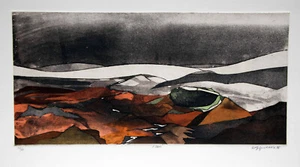 WOLFF BUCHHOLZ " ROTE LANDSCHAFT" 1976 Farbradierung handsigniert - Picture 1 of 5