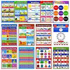 Educational Preschool Posters for Kids Toddlers, Laminated Early Learning Cha...