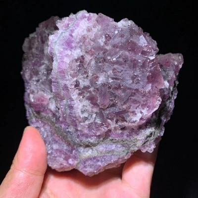 1030g Natural Super Hermoso Cristal Fluorita Morado Mineral Muestra Estándar - Imagen 1 de 4