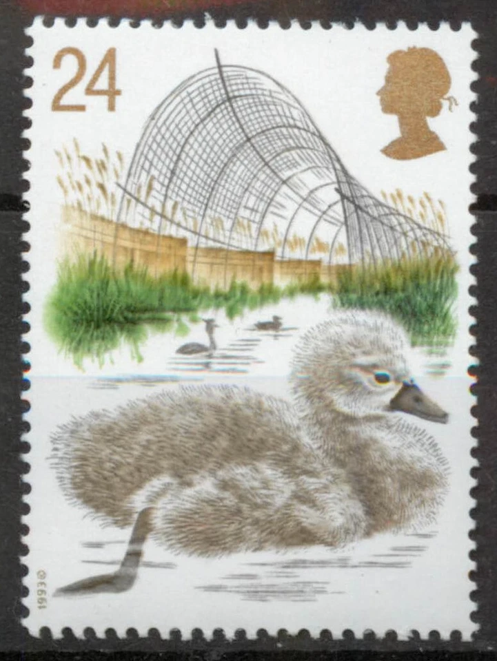 24p Mute Swan Cygnus olor bird GB 1993 MNH mint stamp D298 *COMBINED POSTAGE* - Image 1 of 1