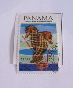PANAMA 25C USED SEAHORSES Briefmarke - Bild 1 von 2