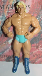 WWE Ric Flair Classic Superstars Action Figure Pro Wrestling Jakks Series 9 - Picture 1 of 5