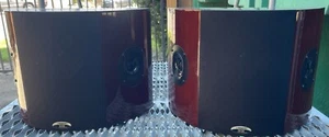Altavoz envolvente dipolo certificado Monster THX SL100-DSR Select - Imagen 1 de 9