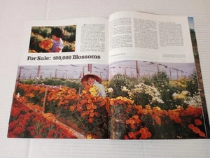 Arizona Highways March 1982 Jewels Of The Desert The Symbol Seekers - Picture 1 of 12