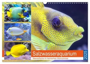 Rose Hurley | Salzwasseraquarium. Meeresfische im heimischen Wohnzimmer... - Bild 1 von 15