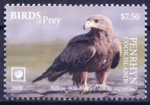 Penrhyn Cook Islands 2018 MNH, Birds of Prey, cometa de factura amarilla, halcones Foto 1 de 1