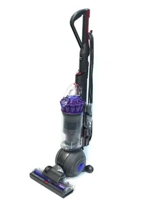 Dyson Upright Vacuum Cleaner DC40 Animal Carpet Cleaner  - Picture 1 of 13