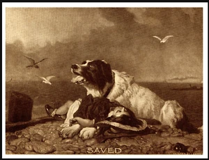 NEWFOUNDLAND DOG SAVES DROWNING BOY LOVELY VINTAGE STYLE DOG ART PRINT POSTER - Picture 1 of 1
