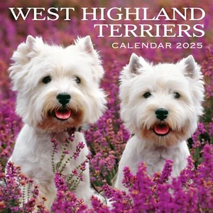West Highland Terriers Calendar 2025 Wall Planner Organiser Scottish Dogs Gift - Imagen 1 de 3
