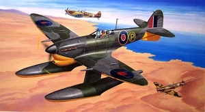 TRU02404 - Trumpeter 1:24 - Supermarine Spitfire MK.Vb Float Plane - Picture 1 of 1