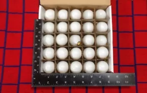 BOX of 25 new WHITE CHRISTMAS C7 string LIGHT bulb G12.5 Round outdoor GLOBE 10w - Picture 1 of 4