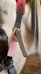 FIELD SAFE CONVERTER   25mm   for HEADCOLLAR    any size    1" web. colours - Picture 1 of 70