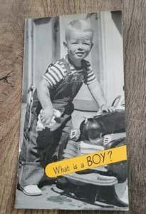 Folleto publicitario de la década de 1950 New England Mutual Life What is a Boy Boston - Imagen 1 de 7