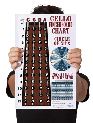 Laminated Cello Fingerboard Notes Instructional Poster Beginner Wall Chart - Image 1 of 4