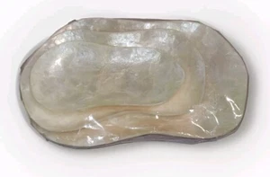 Capiz Shell Tray Set 3 Nesting Sizes Original Package Luau Beach Patio - Picture 1 of 6