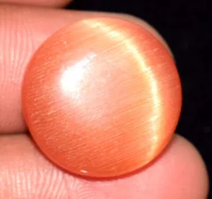 Natural Orange Cat's Eye 19.35 Ct Round Cabochon Loose Gemstone Certified B71569 - Picture 1 of 7