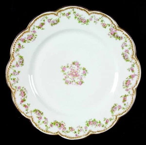 Haviland Schleiger 270 Dinner Plate 198953 - Picture 1 of 1