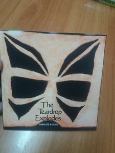 The Teardrop Explodes complete b sides cd - Picture 1 of 2