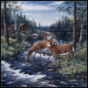 Deer Creek - DIY Chart Counted Cross Stitch Patterns Needlework DMC Color - Picture 1 of 2