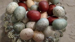 NIB 24 Realistic Speckled Faux Bird EGG 1.25" Blue Brown Cream Craft Farm Decor - Picture 1 of 1