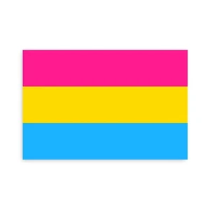 Pansexual Pride Flag Sticker - [4'' x 6''] - Imagen 1 de 1