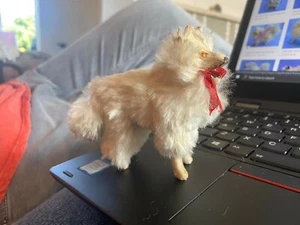 ANTIQUE SPITZ SAMOYED POMERANIAN SALON DOG BRU KESTNER DOLL COMPANION GERMANY - Picture 1 of 5