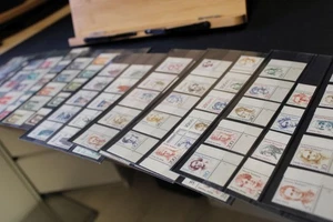 Descuento DS Bund+Berlin Special, borde de esquina, números de forma, mejor, Michel XL (12 fotos) - Imagen 1 de 1