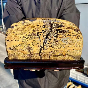 4.32LB Beautiful Natural Chinese Dendritic Limestone Picture Stone Guohua -Rare - Picture 1 of 16