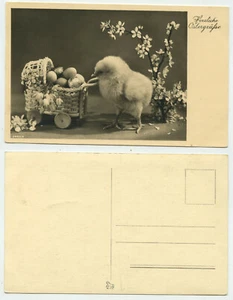 85410 - Pollito con huevos en cochecito - Pascua - Foto real - postal antigua - Imagen 1 de 1