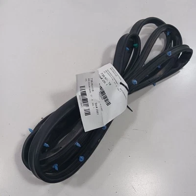 Sello de goma para puerta trasero pasajero derecho Kia Sorento 2018 2017 2016 Foto 1 de 4