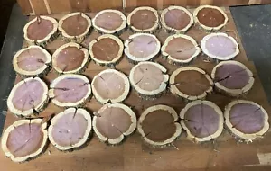 24 Rustic Live Edge Red Cedar Rounds, Cookies, Wood Working, Craft Wood, Slices - Picture 1 of 11