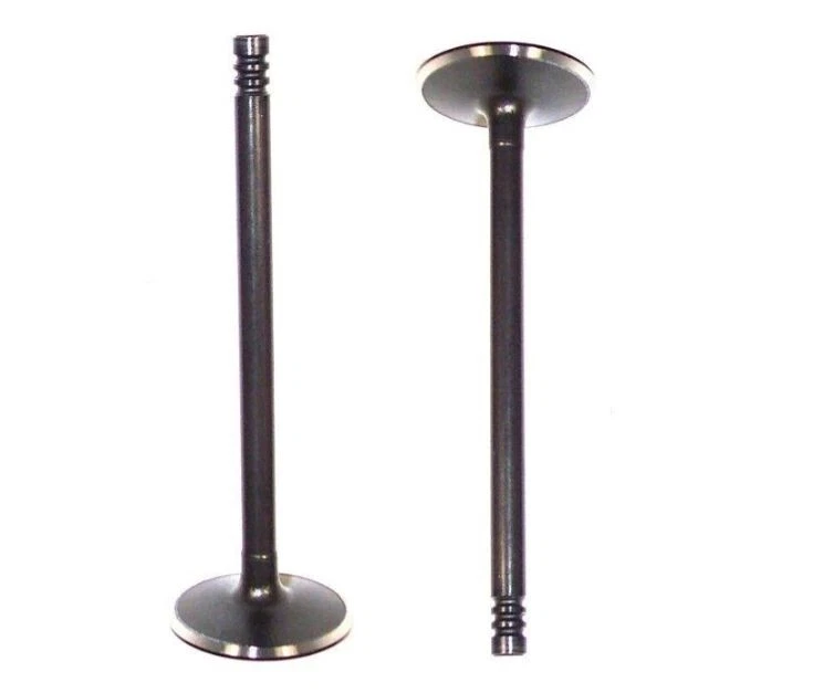 1998-2010 ПОДХОДИТ ДЛЯ ЗАРЯДНОГО УСТРОЙСТВА DODGE INTREPID 3.2 3.5 4.0 SOHC НАБОР ИЗ 12 ВПУСКНЫХ КЛАПАНОВ - Изображение 1 из 1