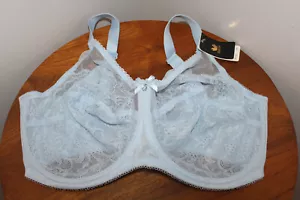 WACOAL RETRO CHIC FULL FIGURE BRA EMBROIDERED FLORAL CLOUD BLUE SIZE 38H - Picture 1 of 4