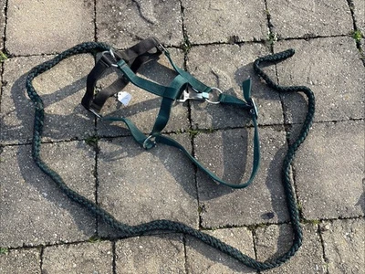 Halter de pony negro y verde con cuerda de plomo a juego de 6 pies de largo Foto 1 de 4