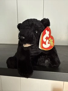TY Beanie Baby CINDERS Black Bear 5”Plush NWT Stuffed Animal Toy 2000 - Picture 1 of 10
