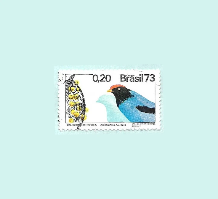 Brasil 1973 0,20 Cts. Sello postal usado pájaro Foto 1 de 1