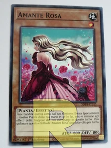 3x Amante Rosa / Rose Lover ® Comune ® SDBT-IT015 ® Italiano - Picture 1 of 1
