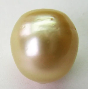 ¡14,6 mm! AUST GOLD SOUTH SEA PEARL 100% SIN TRATAR SIN PERFORAR + VALORACIÓN DISPONIBLE - Imagen 1 de 1