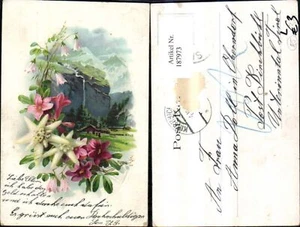 187973,Glückwunsch Litho Berglandschaft Blumen Edelweiß  - Picture 1 of 1
