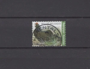 BELGIUM 2013 grouse buzin bird fine used 4305 - Picture 1 of 1